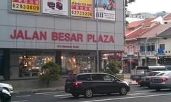 Jalan Besar Plaza (D8), Apartment #65960392